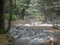 fowlers hollow.Laural run 06-09-14 069